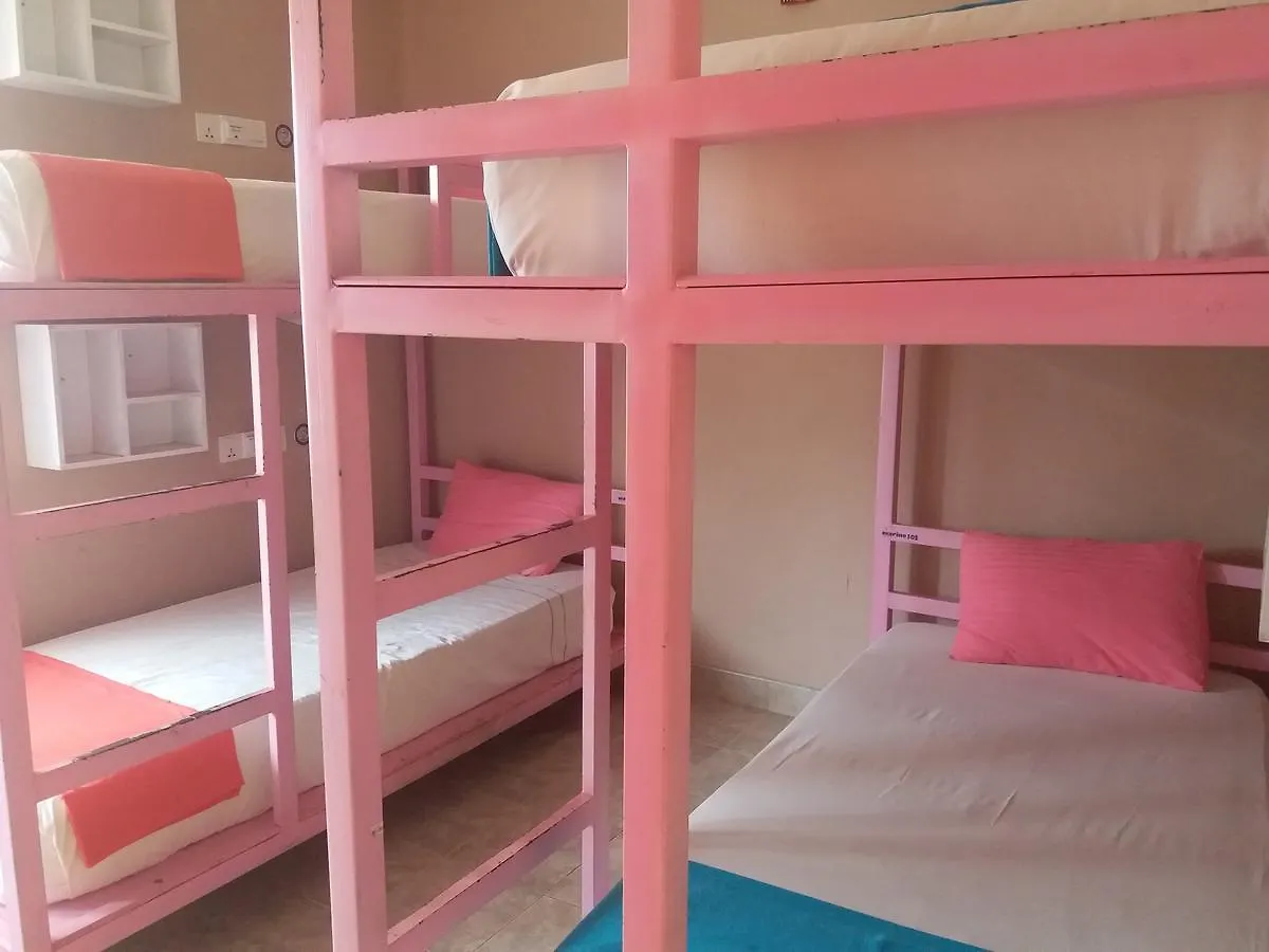 Marine Beach Hostel At Negombo Beach Near Airport Srí Lanka